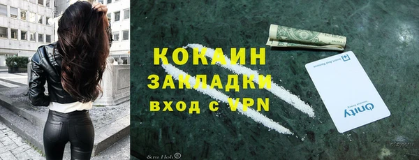 соль ск Алексин