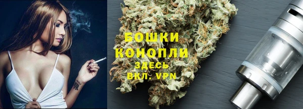СК Алзамай