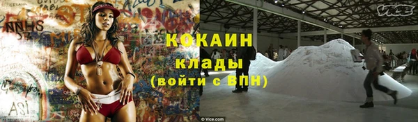 соль ск Алексин
