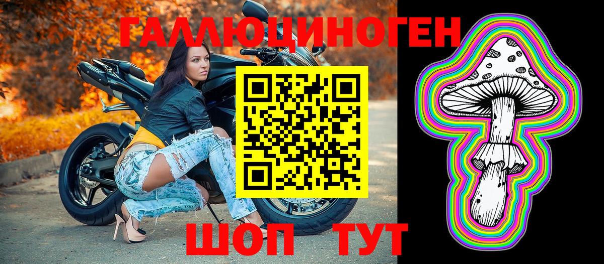 Псилоцибиновые грибы Psilocybe  Вход с VPN  Аргун 