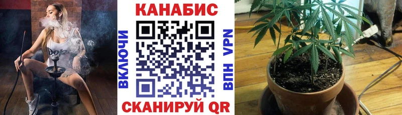 купить  сайты  Аргун  Бошки Шишки Amnesia 